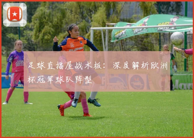 足球直播屋战术板：深度解析欧洲杯冠军球队阵型