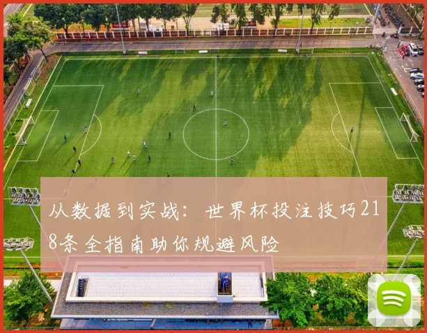 从数据到实战：世界杯投注技巧218条全指南助你规避风险